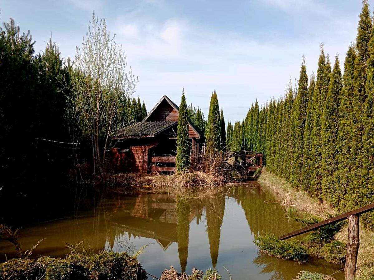 Villa Dwór Na Otulinie Białowieża Exterior foto